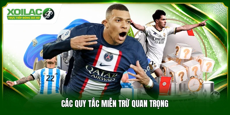 Các quy tắc miễn trừ quan trọng