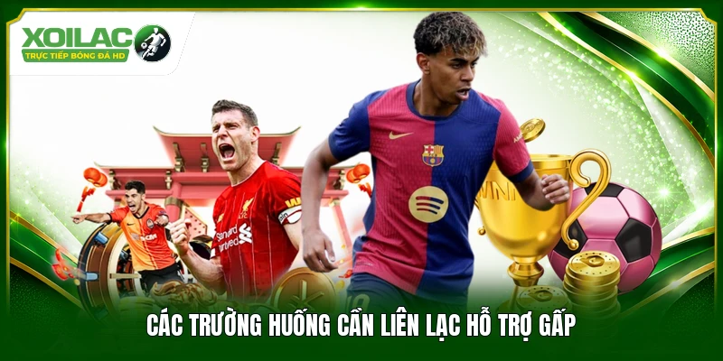 Các trường huống cần liên lạc hỗ trợ gấp