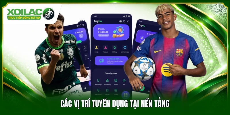 Các vị trí tuyển dụng tại nền tảng