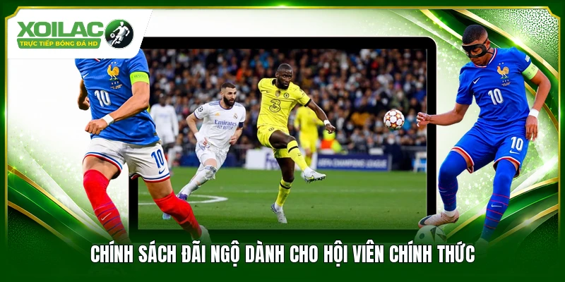 Chính sách đãi ngộ dành cho hội viên chính thức