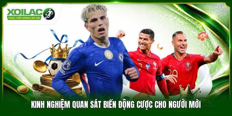 Kinh nghiệm quan sát biến động cược cho người mới
