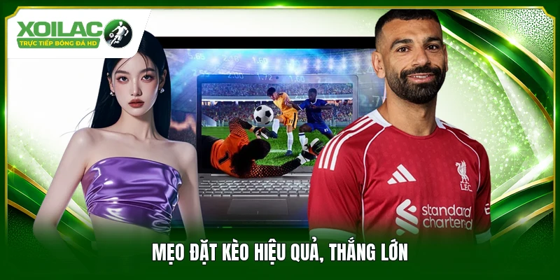 Mẹo đặt kèo hiệu quả, thắng lớn