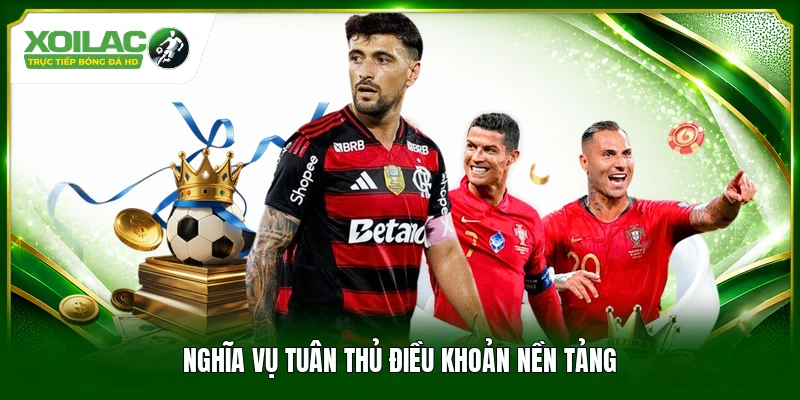 Nghĩa vụ tuân thủ điều khoản nền tảng