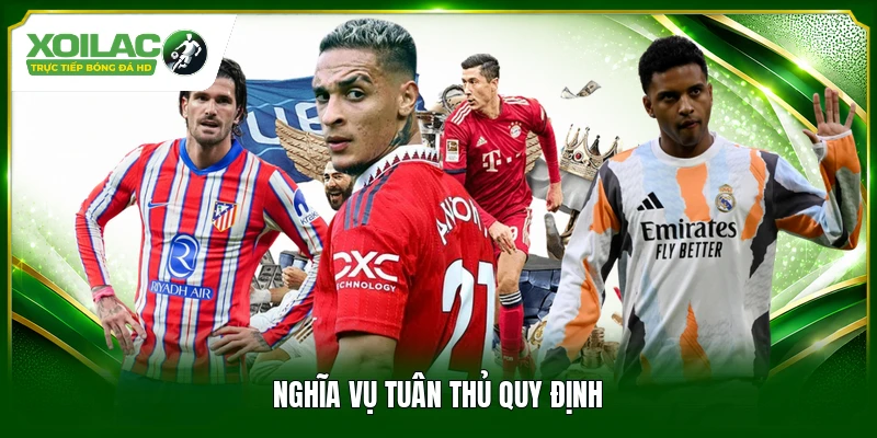 Nghĩa vụ tuân thủ quy định