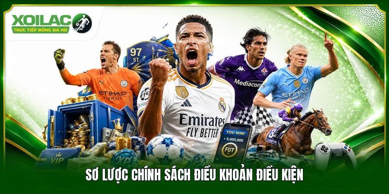 Sơ lược chính sách điều khoản điều kiện