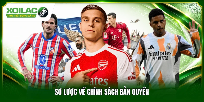 Sơ lược về chính sách bản quyền